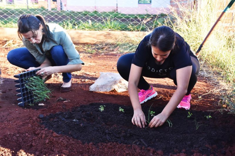 Este sábado será el próximo encuentro-taller del Programa Huertas Colectivas en Itambé Guazú