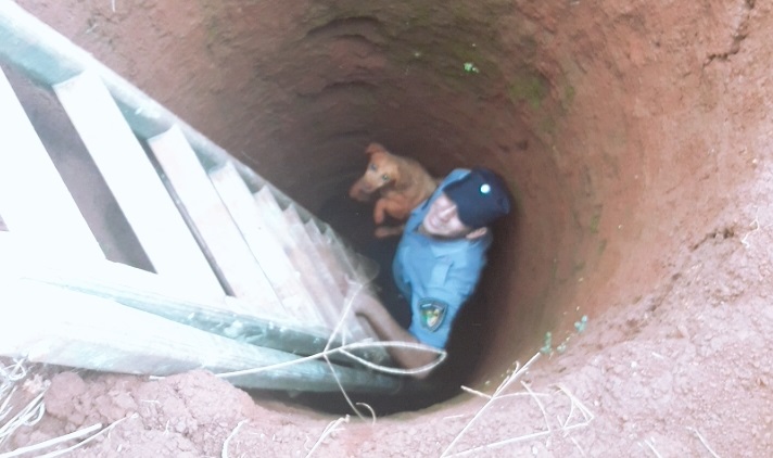 Guaraní: emotivo rescate a “Sultán” que una vez más se salvó de milagro