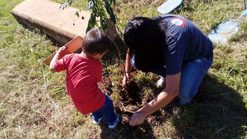 Plantaron más de mil árboles en la ciudad