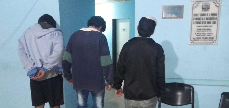 Detuvieron a cuatro hombres por hurto