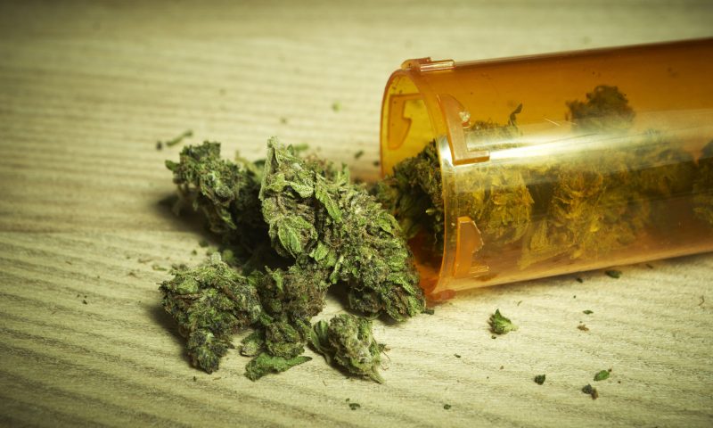 ONG de Misiones trabaja para fabricar cannabis medicinal pese a que la ley nacional no lo autoriza