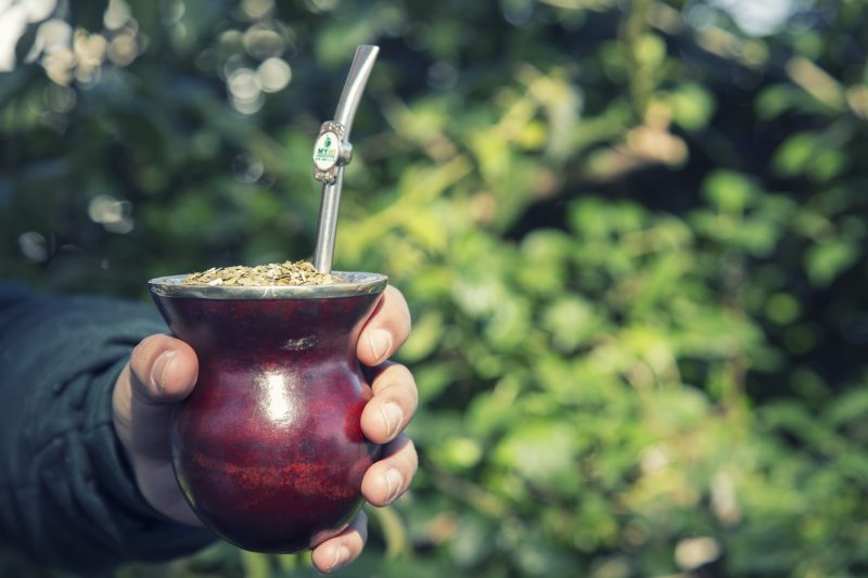 Un nuevo estudio determinará si el consumo de yerba mate evita la pérdida de hueso en la menopausia