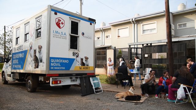 Promueven la salud y tenencia responsable de mascotas