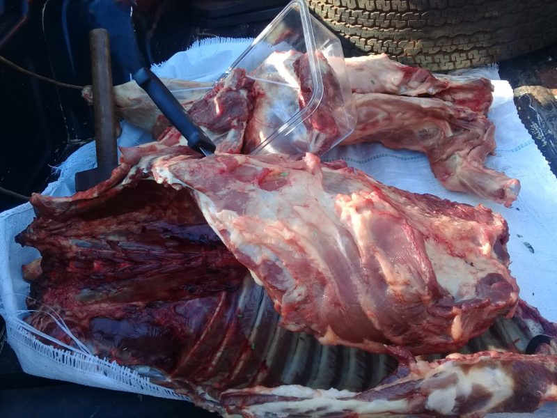 Secuestran carne faenada, herramientas y detienen a dos jóvenes en 25 de Mayo