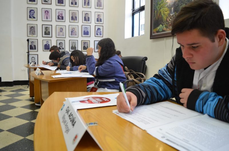 Concejo Estudiantil Inclusivo 2018: sortearon bancas y conformaron bloques políticos