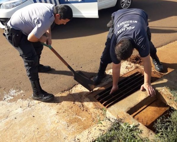 Policías rescataron a “Renn”, una gata que cayó en una alcantarilla