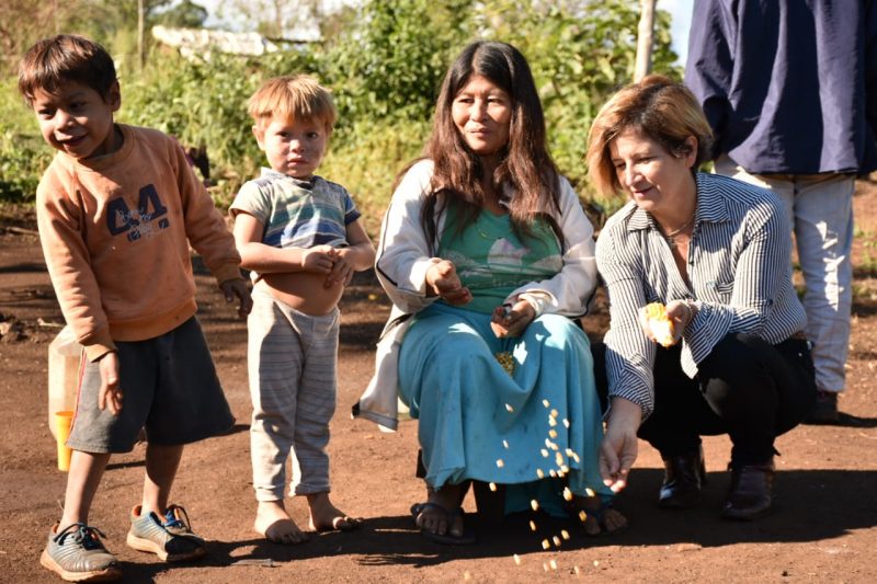 Agricultura Familiar abre el debate sobre el uso de agrotóxicos en Misiones