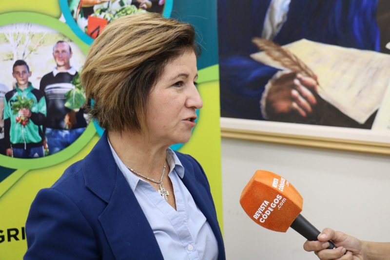 “Plaza Dulce”, un evento para promover el consumo de productos naturales y de las chacras misioneras