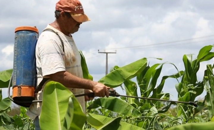 Proyecto de prohibición del uso de agrotóxicos: exitosa reunión entre la CEM y el Ministerio del Agro