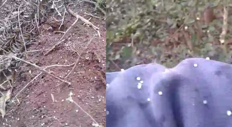 Norte misionero con temperaturas más bajas: cayó aguanieve en Andresito