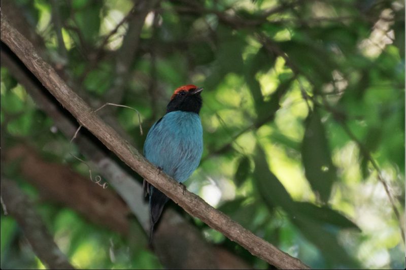Charla Consciente para cierre de muestras del Centro de Arte