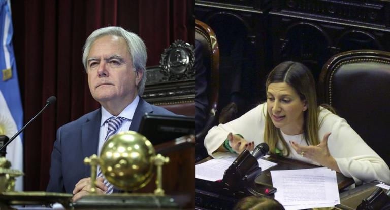Crece la grieta en Cambiemos por debate sobre el aborto: Pinedo le pidió 