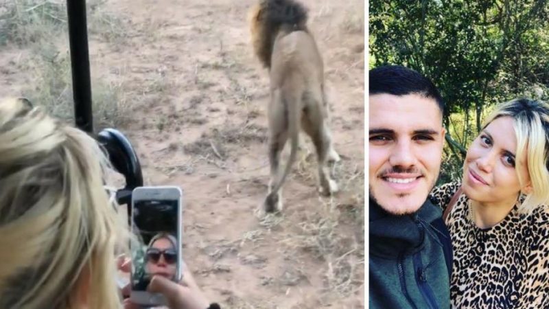 La gastada de Mauro Icardi a Wanda Nara durante un safari en Sudáfrica