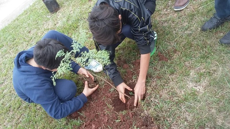Programa 10.000 árboles: alumnos de la escuela 813 plantaron 20 árboles nativos