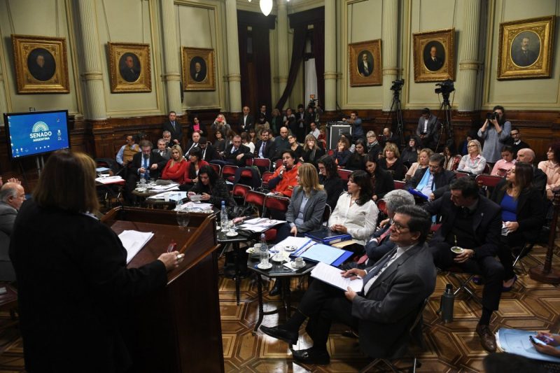Aborto: se agudizan las confrontaciones entre senadores y oradores invitados