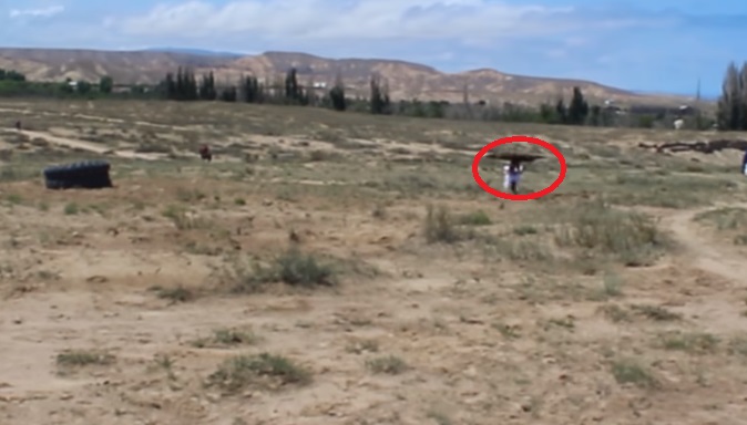 Video: un águila real lanza sobre una niña de 8 años y la retiene en el suelo