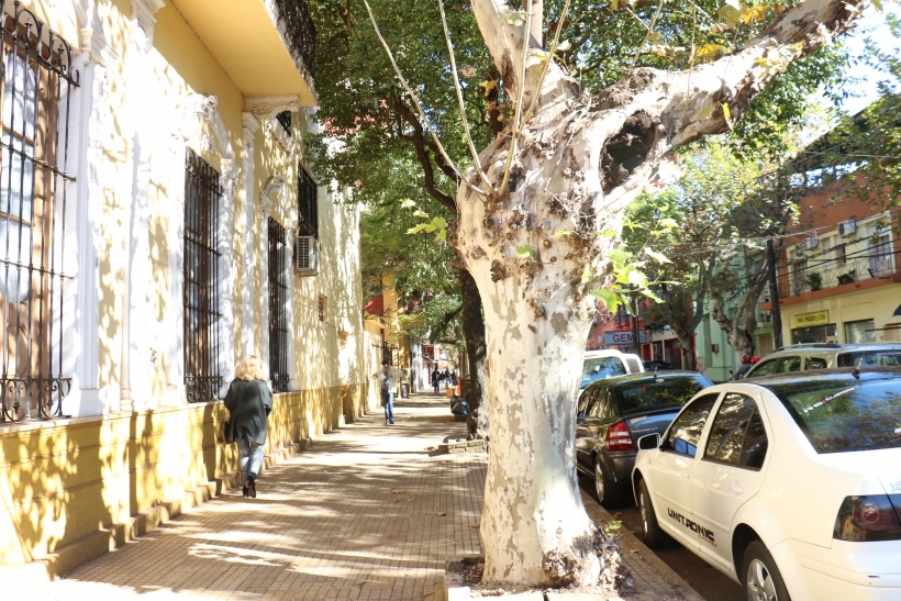 Tiempo: lunes con bajas temperaturas