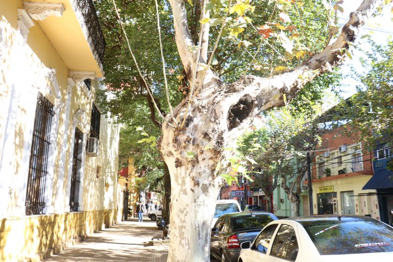 Tiempo: martes con máxima de 32°C