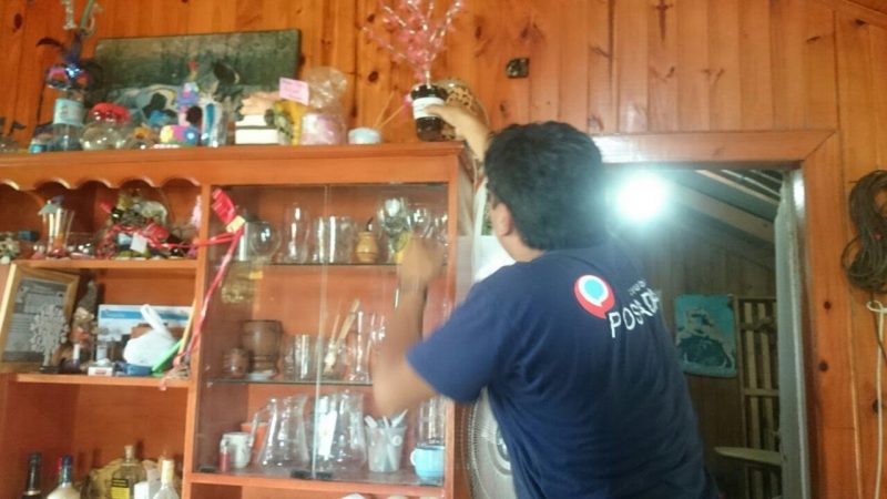 Dengue: destacan el funcionamiento de las ovitrampas en Posadas