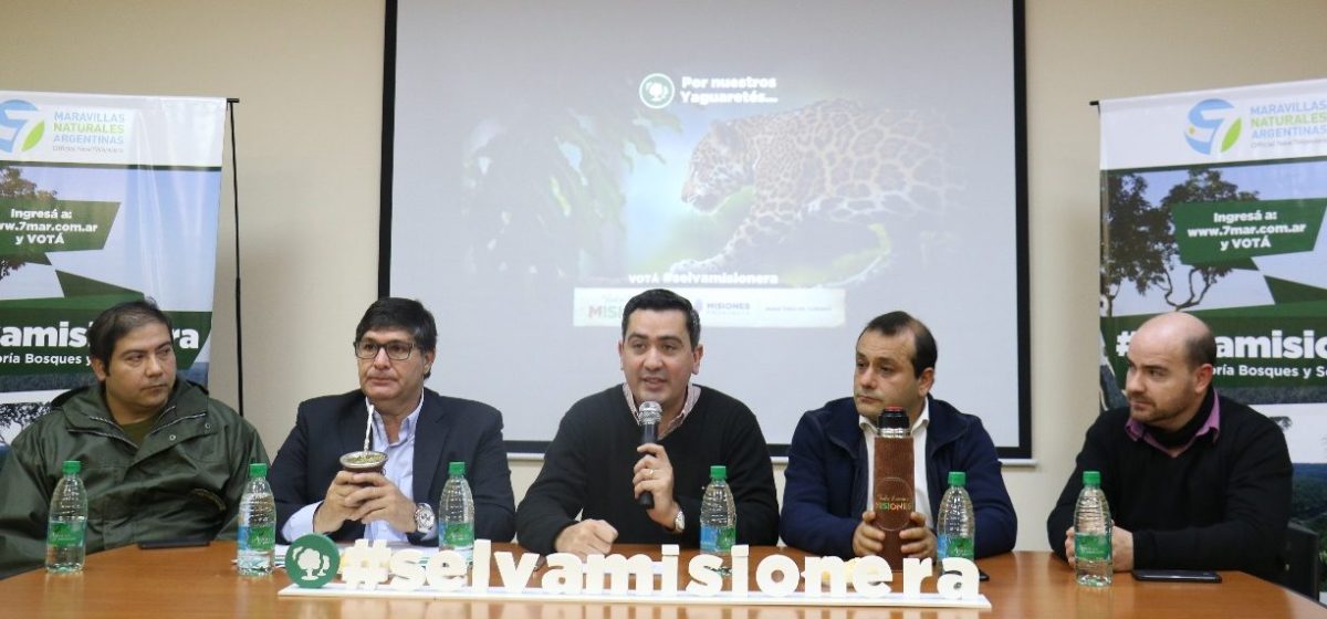 La Selva Misionera se ofrece como una de "Las 7 Maravillas Naturales de Argentina"