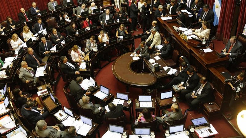 Arranca el debate por el aborto en el Senado
