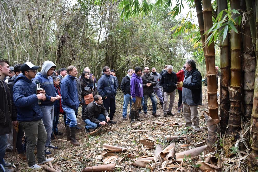 Capacitaron a productores sobre el manejo y cosecha sostenible de bambusales