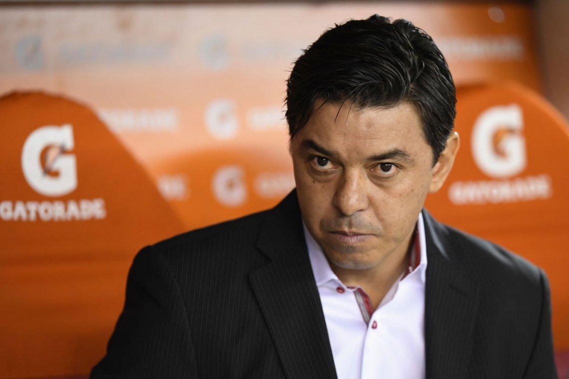 El plan de la AFA para llevar a Gallardo a la Selección