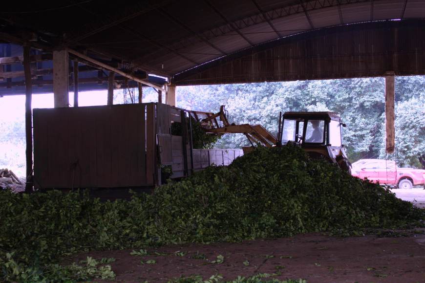 Volverá a funcionar la Cooperativa de Concepción de la Sierra, con ayuda del Estado