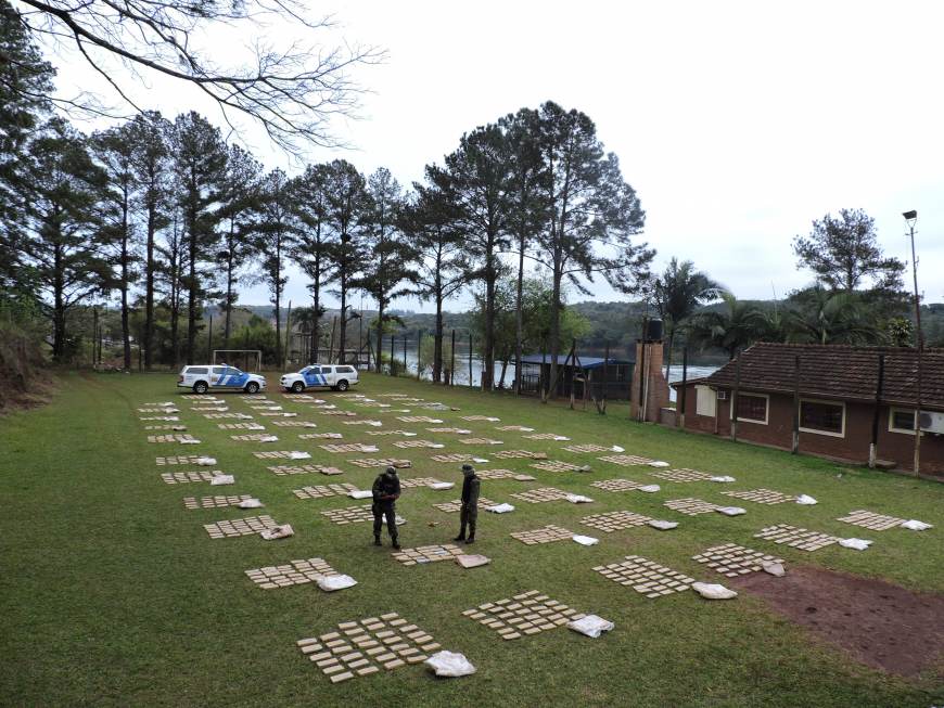 Puerto Rico: incautan más de 1.600 kilos de marihuana en la selva