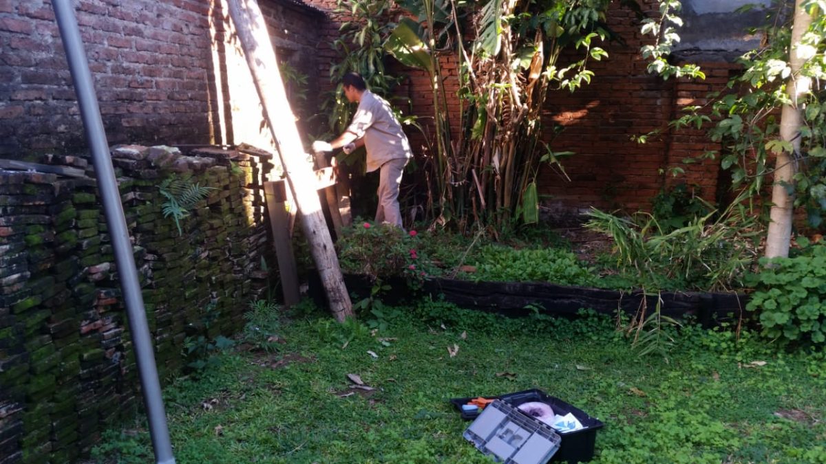 Iniciaron operativo de desratización en el microcentro de Posadas