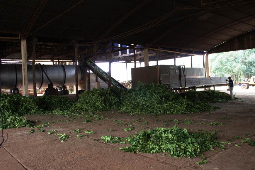 Volverá a funcionar la Cooperativa de Concepción de la Sierra, con ayuda del Estado 3 6 - Empleado trabaja - 5