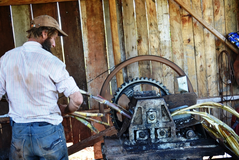 Esta semana vence el plazo para actualización de datos del Monotributo Social Agropecuario