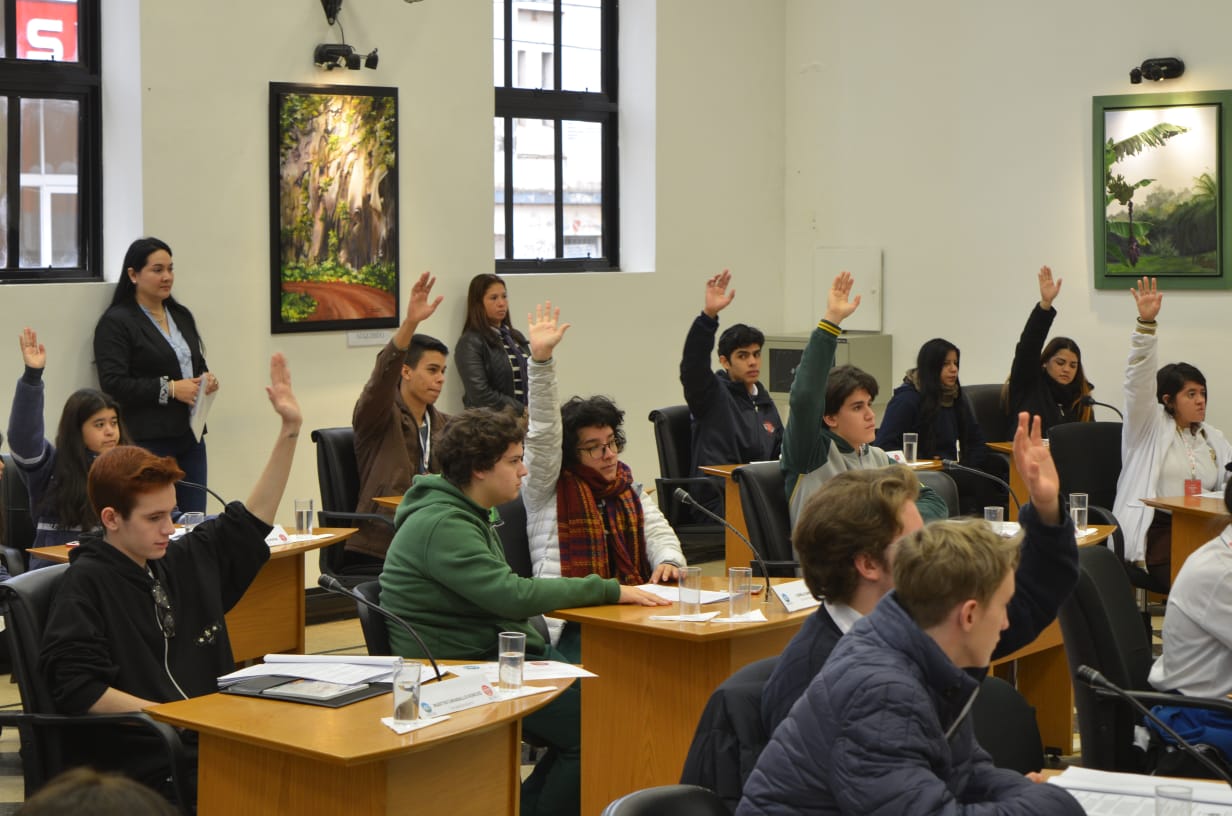 Con 17 iniciativas aprobadas, finalizó el Concejo Estudiantil Inclusivo 2018 3 6 - IMG 20180809 WA0028 - 5