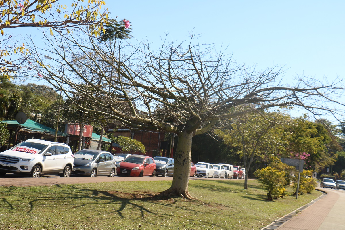 Tiempo: viernes con bajas temperaturas