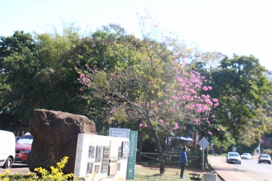 Tiempo: jueves bueno y soleado
