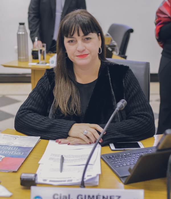 Sin el Fondo de la Soja, Posadas perderá $132 millones vitales para realizar obras públicas 1 2 - Natalia Gimenez Concejal Sesion 260718 - 1