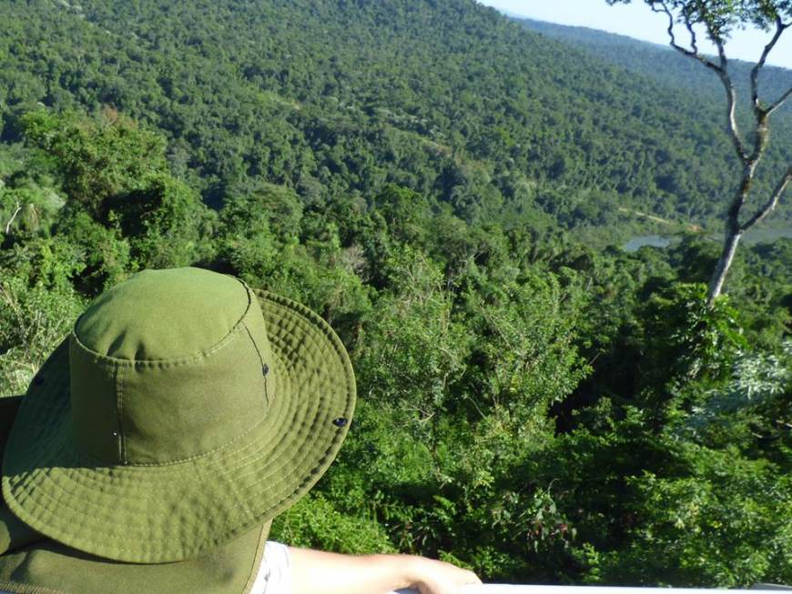 Buscan declarar de interés provincial campaña a favor de la selva misionera