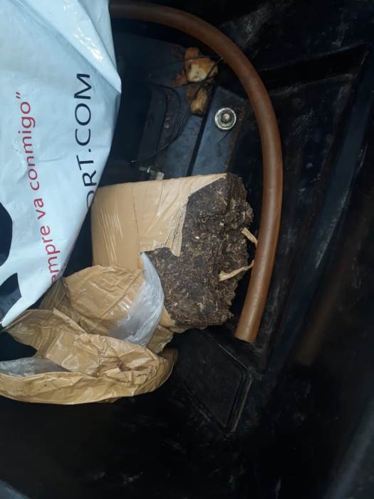 Frustran venta de droga a metros de la Terminal: hay tres detenidos 4 8 - WhatsApp Image 2018 08 19 at 17.06.40 - 7