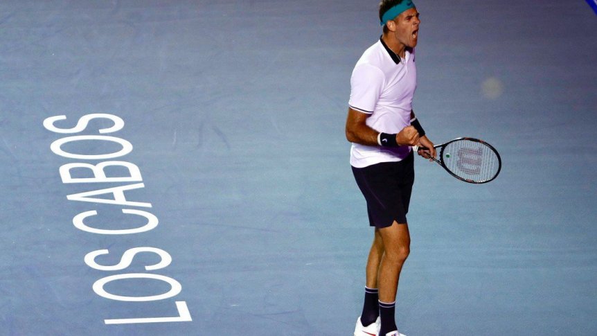 Tenis: Del Potro clasificó a la final  del Abierto  de Los Cabos