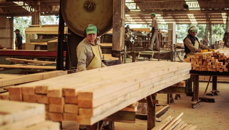 Sector maderero, en crisis: prevén caída del 8% en la actividad