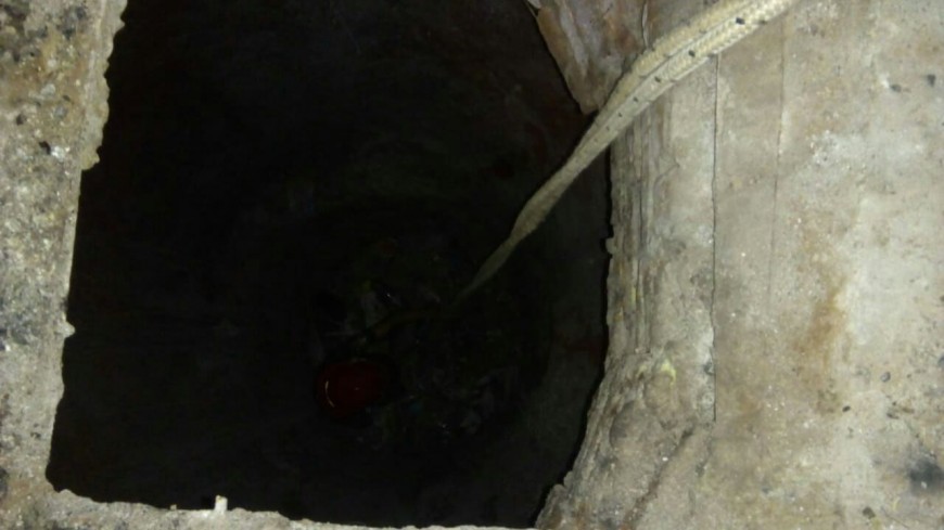 Bomberos rescataron a un perro que cayó a un pozo de 10 metros