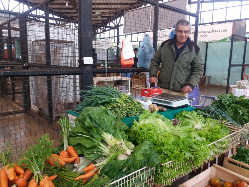 Ofertas hasta el sábado 1 de septiembre en el Mercado Concentrador