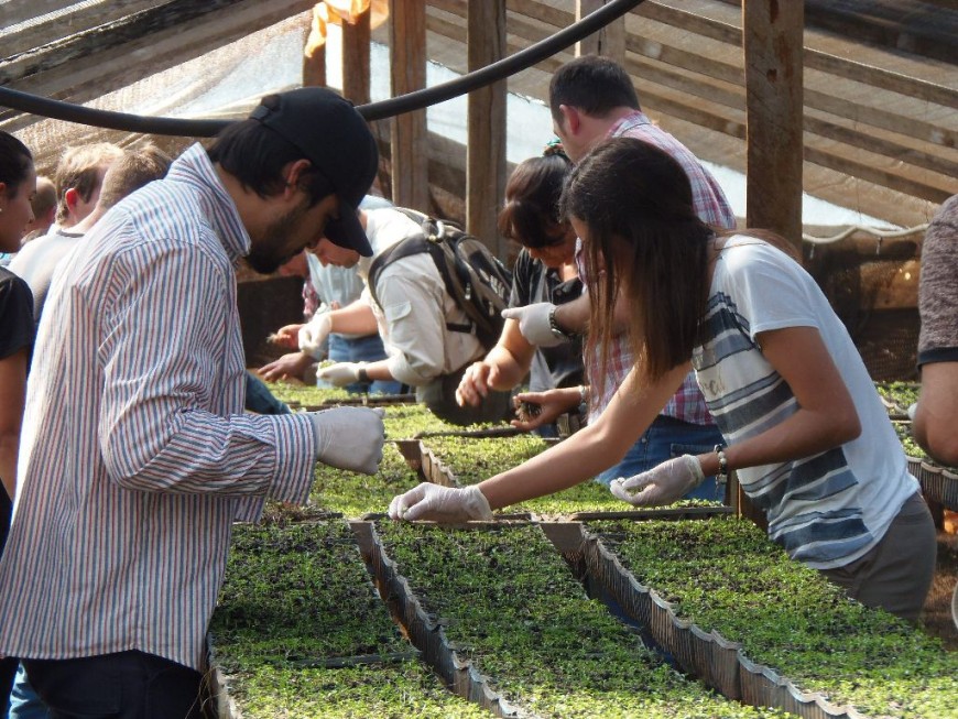 Viveristas forestales de Misiones recibieron capacitación
