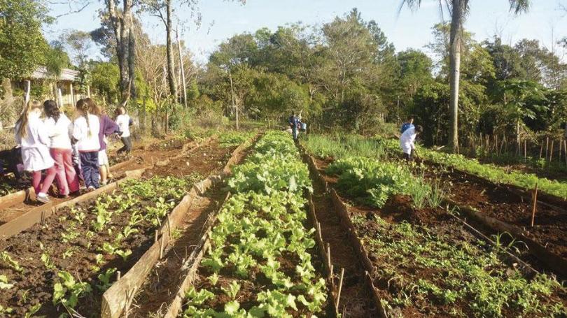Buscan consolidar a las huertas como “recurso pedagógico” en escuelas misioneras
