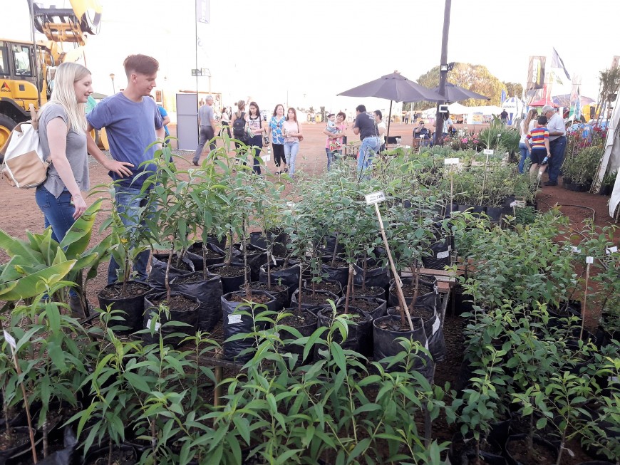 Feria Forestal: “De Misiones a su Mesa” y “Sabores de la Selva”, otros de los atractivos en esta edición 6 12 - 20180921 182317 2 - 11