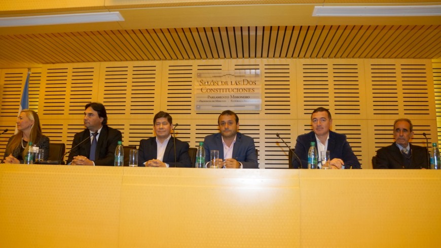 Legislatura: desarrollan las “V Jornadas Perinatológicas del Hospital Materno Neonatal” del Parque de la Salud