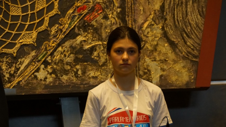 Diputados estudiantiles sancionan proyectos sobre salud, tecnología, deporte, seguridad vial y medio ambiente 4 8 - DSC03482 - 7