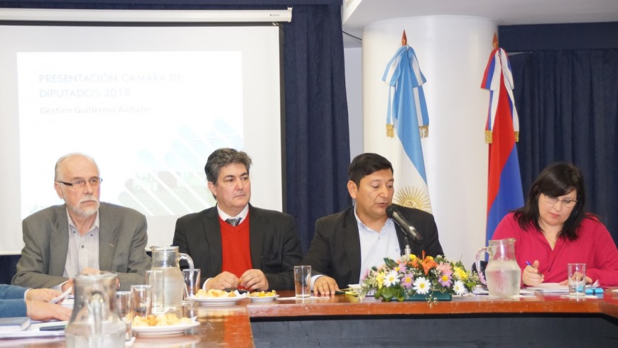 Misiones prevé invertir en 2019, más de 1.600 millones de pesos en el sistema energético