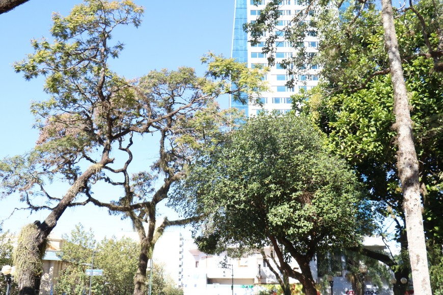 Tiempo: lunes cálido y seco