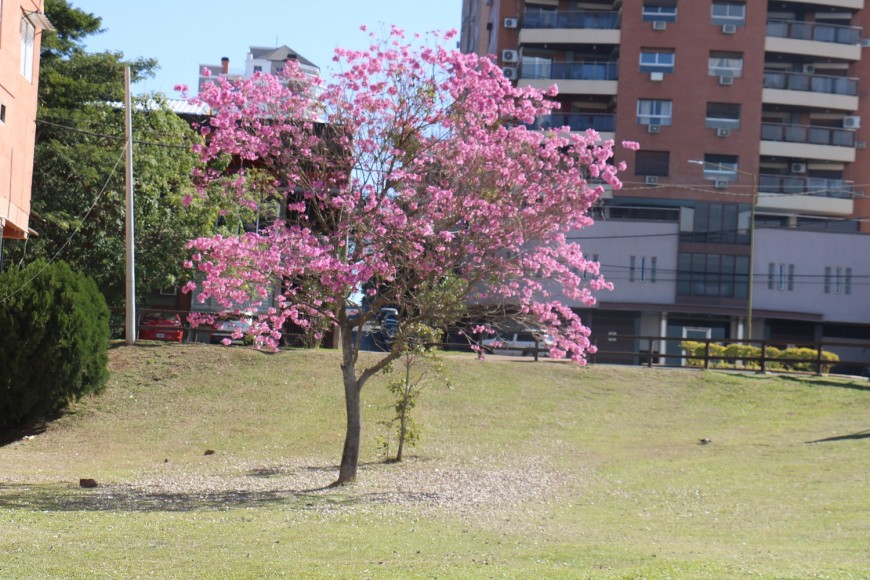 Tiempo: miércoles primaveral, con probabilidad de lluvias aisladas